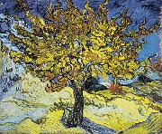 Vincent Van Gogh Mulberry Tree Spain oil painting artist